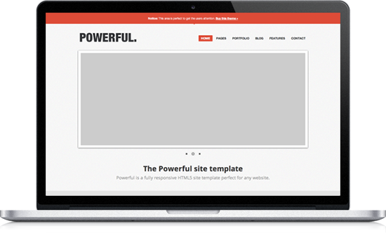 Web漏洞扫描工具